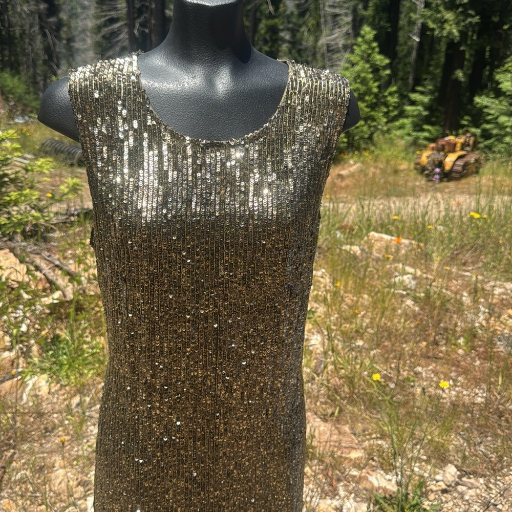 NWOT Polo Ralph Lauren sequined/Beaded Sleeveless Mini Cocktail Dress Stunning! - Picture 2 of 12